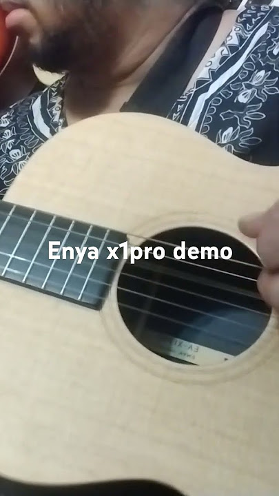 eny x1 pro demo