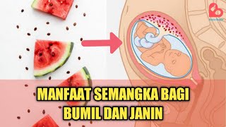 Efek Makan Nangka Bagi Ibu Hamil