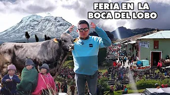 ALTA GENÉTICA: VARIAS RAZONES PARA VISITAR ESTA FERIA  GANADERA DE SIMIÁTUG I GEO LEMA
