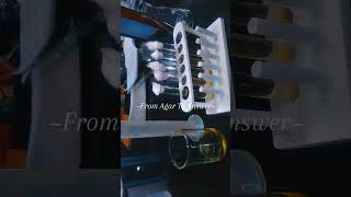 #preparation of Microbial Culture media#pharmacystudent #pharmaceutical Microbiology #medicalworld