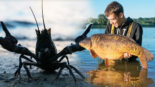 How To Avoid Crayfish And Catch More Carp - Carp Fishing Tips