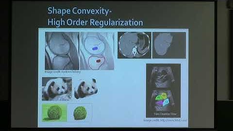 VMVW03 | Olga Veksler | Convexity and Other Shape priors for Single and Multiple Object Segmentation