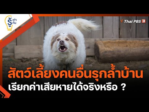 วีดีโอ: เพื่อนบ้านที่ออกจาก Poop สุนัขของพวกเขา? วิทยาศาสตร์กำลังจะทำลายพวกเขา