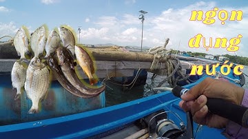 114/ Trùng bẹ , tôm đất kết hợp . Kết quả được nhiều loại cá ( NGÁT , HƯỜNG CHẤM , TRÁP ( HANH ) )