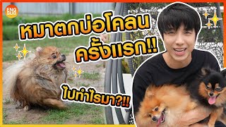 พาหมาตกบ่อโคลนครั้งแรก!! ทำไมถึงเละขนาดนี้ลูกกกก!! l KAYAVINE