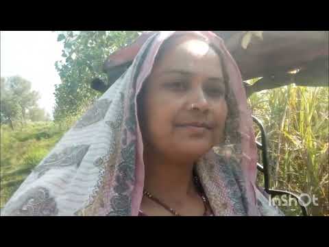 🙏🏻घर का जंगल का खेतों का जुड़ा हुआ सारा काम हम आप सभी को दिखाना चाहते हैं#shortvideo🙏🏻 