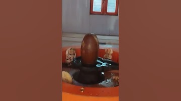Om Jai shiv Omkara Aarti 🪔 #shivaarti #mahadevstatus #mahakal #bholenath #bhaktisong #trending#viral