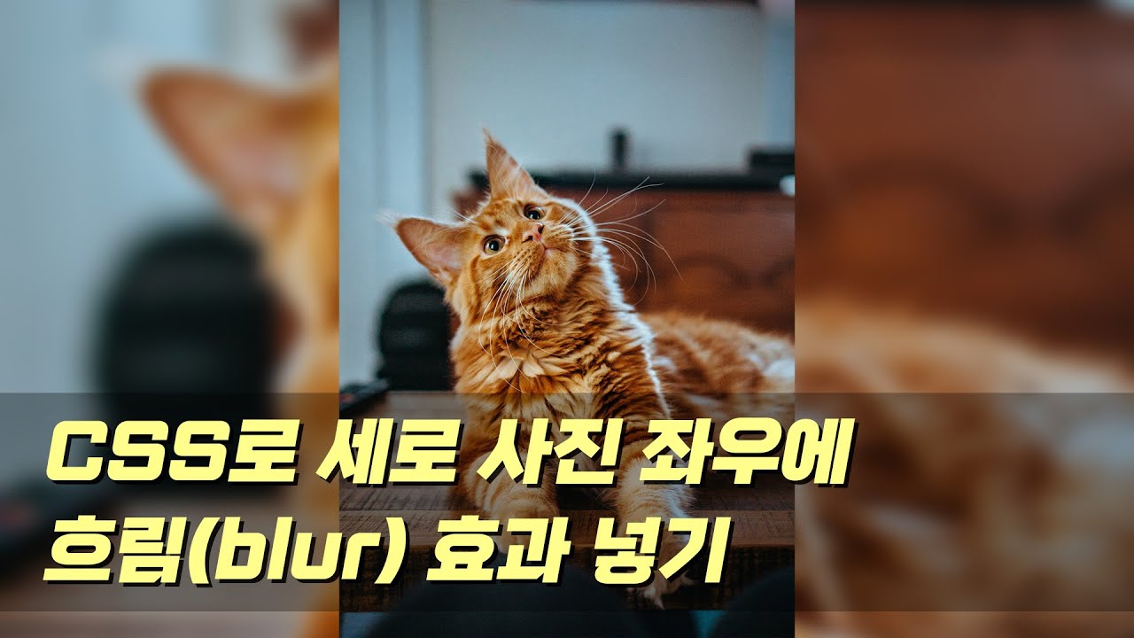 CSS로 세로 사진 좌우 블러 효과 넣기 backdrop filter - YouTube