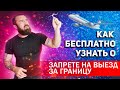 Как проверить запрет на выезд за границу БЕСПЛАТНО и САМОСТОЯТЕЛЬНО