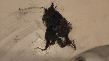 A Few Small Plumbing Jobs. 