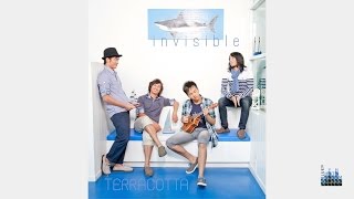 Invisible - Terracotta