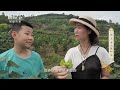 《乡理乡亲》 20231104 献计乡村 塬上有“榛”宝|农业致富经 Agriculture And Farming