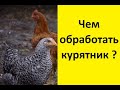 Обработка и дезинфекция курятника вместе с птицей однохлористым йодом