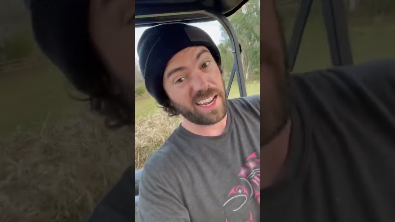 Don’t buy meme stocks!