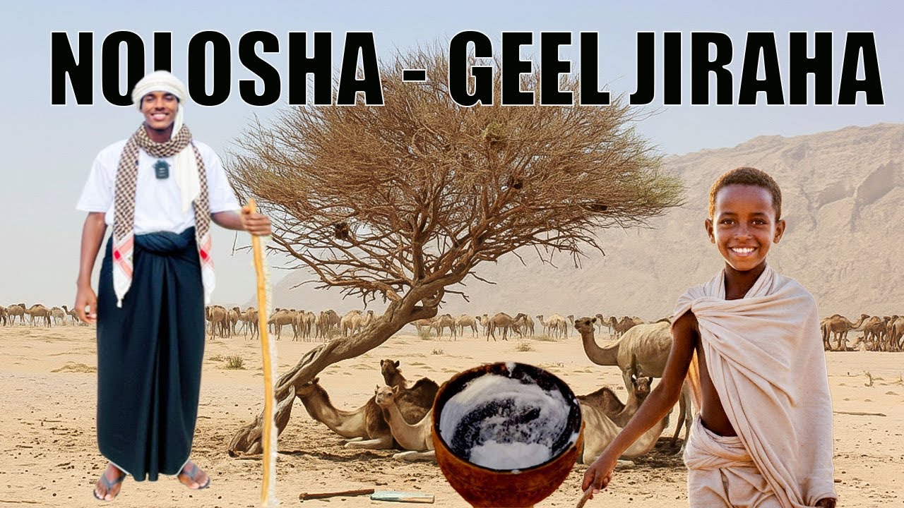 NOLOSHA GEEL JIRAHA | THE LIFE OF A CAMEL HERDER 🐪
