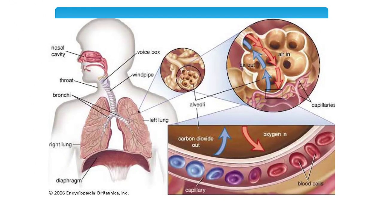 health-effects-of-air-pollution-youtube