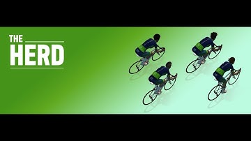 Herd Stampede - Greatest London Loop Reverse