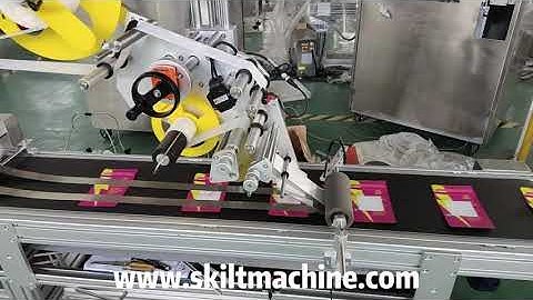SKILT Empty bag pouch auto label applicator labeling machine with feeder