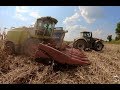 EAR CORN HARVEST - Chopping High Moisture Corn near West Alexandria Ohio