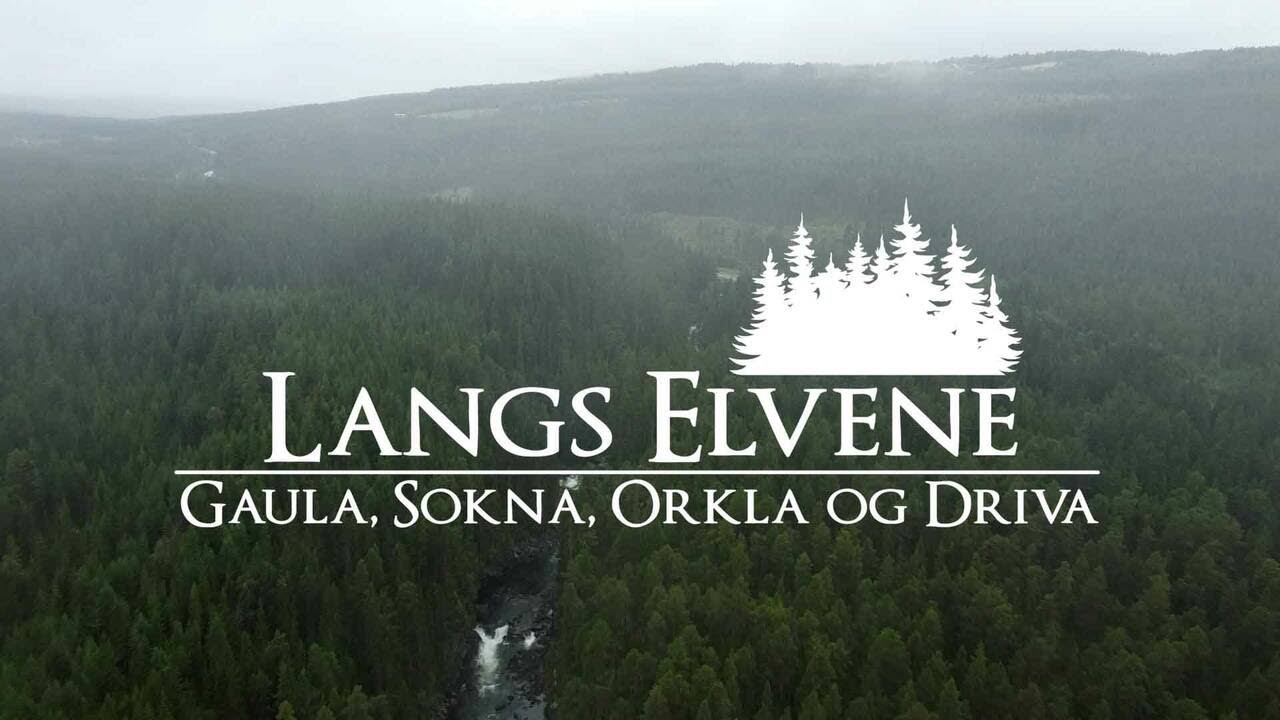 Langs elvene Gaula, Sokna, Orkla og Driva (2:2)