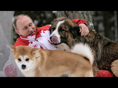 Любимая песня Путина "Так скучала я..."