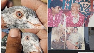 Ustad Mistri Deen Ky Shagird Ustad Maana Pehalwan Ky Bety Tayyab Bhai Ki Chat Ka Shok Part 2