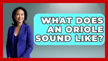 What Does An Oriole Sound Like? - Exploring Campgrounds