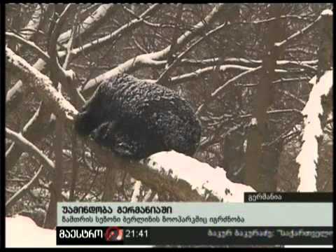 02/12/10 უამინდობა გერმანიაში