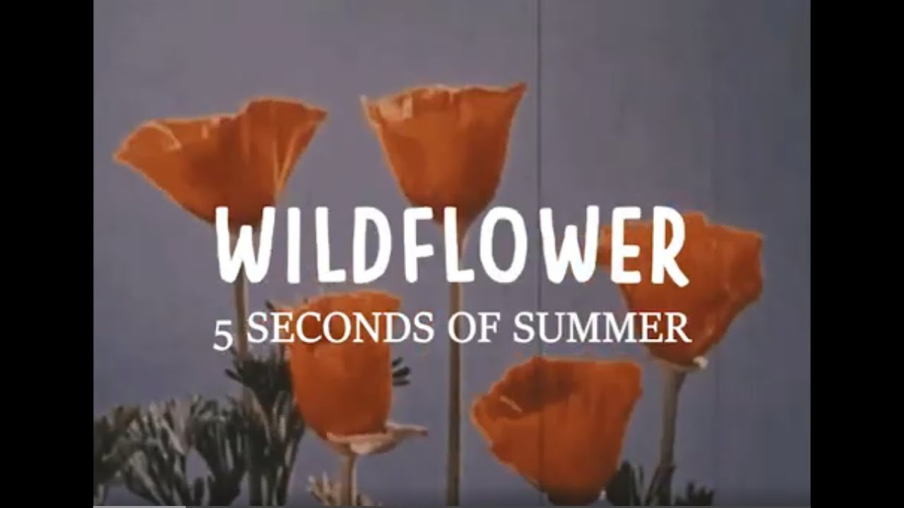 5SOS Wildflower (Lyrics) YouTube