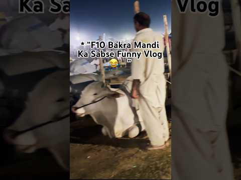 Islamabad Bakra Mandi Mein Aaj Kuch Alag Hi Scene Tha 😭🔥”