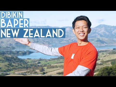 DIBIKIN BAPER NEW ZEALAND