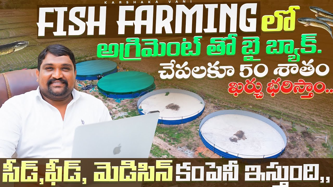 Fish forming ￼50 శాతం ఖర్చు & సీడ్,ఫీడ్, మెడిసిన్ కంపెనీ ఇస్తుంది | Fish farming telugu￼