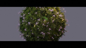 Little Green World | Blender 2.9 Animation