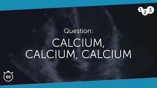 60 Seconds Of Echo Teaching Question Calcium, Calcium, Calcium
