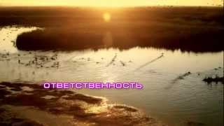 Ответственность. Прекрасный клип со смыслом. Ответственность. Прекрасный клип со смыслом.