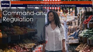 Command-and-Control Regulation | Environmental Protection and Negative Externalities