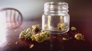 TN legislators to debate legal cannabis bill