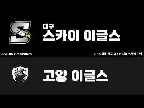 LIVE | 대구 스카이이글스 vs 고양이글스 | 2025. 6. 5 | 2025 참빛 전국 유소년 아이스하키 대회