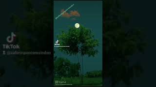 Böyleymi̇ymi̇ş Sevmek Sevi̇lmek.... Resimi