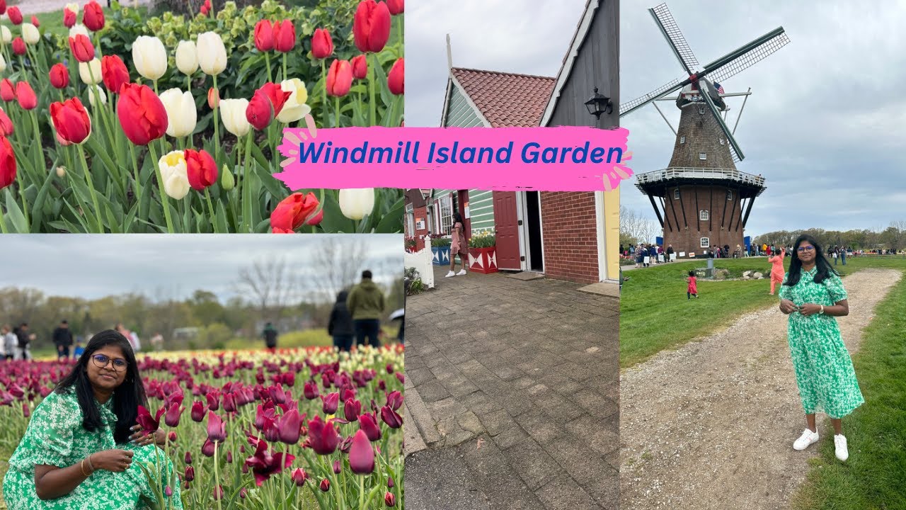 windmill-island-garden-tulip-time-festival-holland-michigan-usa