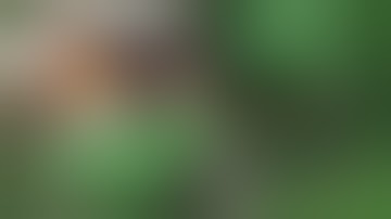 This Week on Xbox | New Xbox Game Pass Launches, Indie Games, and Game Announcements