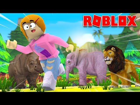 Roblox Escape The Safari With Molly