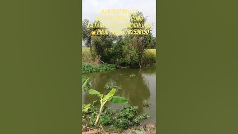 Bán 19 công đất, xã Tân lập huyện mộc Hóa LA