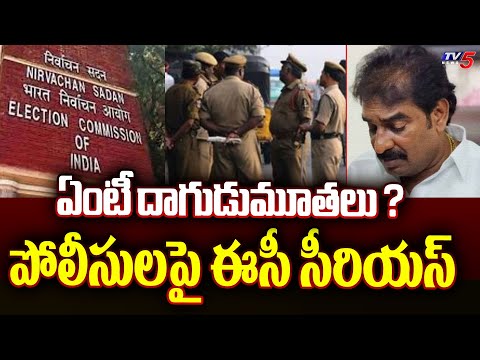 Election Commission Serious Reaction On AP Police Over Pinnelli Ramakrishna Reddy Escape | Tv5 News - TV5NEWS