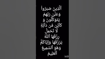 الذين صبروا و على ربهم يتوكلون سورة العنكبوت الآيات60/59 #قرآن #شاشه_سوداء#عبدالرحمن_مسعد #قران_كريم
