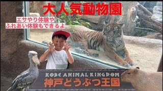 【神戸どうぶつ王国】2022年関西1位に輝いた動物園エサやり体験や、ふれあい体験もできるよ