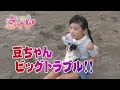 トラブル発生！！警察犬テンテンの先住犬、テヘペロの豆ちゃんに災難が！？ 滅多に動かない老犬もさすがに大慌て！