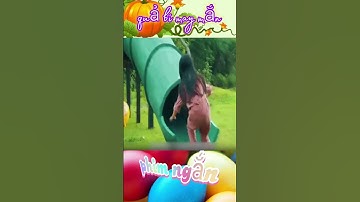 Cá mập lên bờ tấn công cô bé #shorts