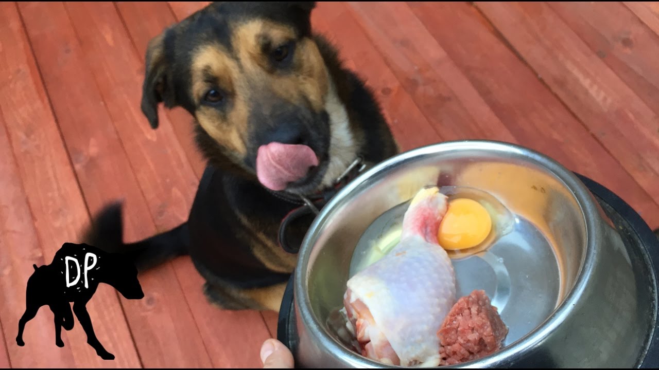 feeding dogs raw chicken