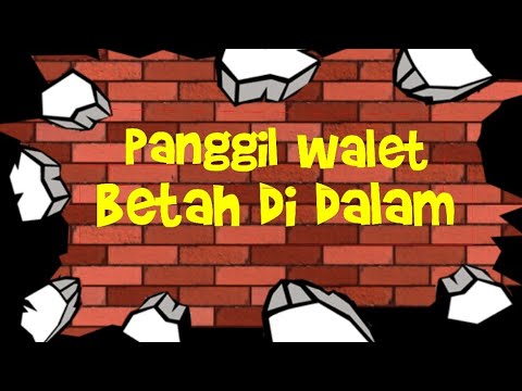 panggil-dalam/colony.walet-betah-di-dalam